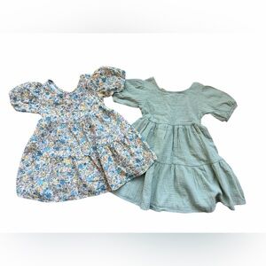 Toddler Girl Dress Bundle Size 3T New floral & sage green